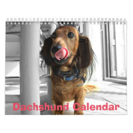 Dachshund Calendar 2025あなたのカスタム写真 カレンダー