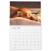 Dachshund Calendar 2025あなたのカスタム写真 カレンダー (1月 2027)