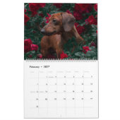 Dachshund Calendar Dog 2026 Photo カレンダー (2月 2027)