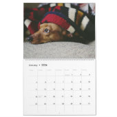 Dachshund Calendar Dog 2026 Photo カレンダー (1月 2026)