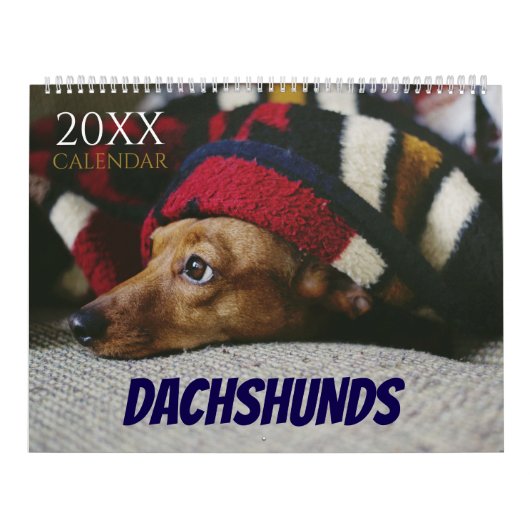 Dachshund Calendar Dog 2026 Photo カレンダー (カバー)