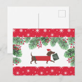 Dachshund Christmas Cute Dog Snowflakes Holly ポストカード (正面/裏面)