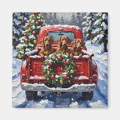 Dachshund Christmas Red Truck Holiday マグネット (正面)