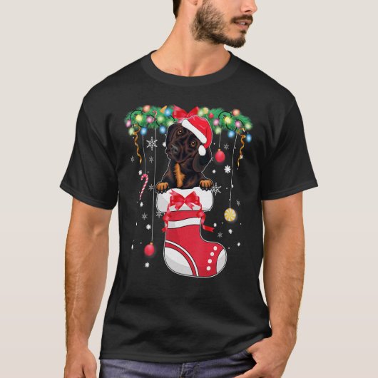 Dachshund Dog  Christmas  Dog Christmas Stocking 1 Tシャツ (正面)