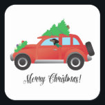 Dachshund Dog Driving Car - Christmas Tree on Top スクエアシール<br><div class="desc">このシルエットはまた表すことができる：アルトワ、ウィナー犬、ウィーナー犬、ソーセージ犬、ホットドッグ、テッケル、トゥィニー、ダッシュント、ドキシー、ハウンド、標準ダッシュント、ミニダッシュント、ミニドッシュント、長いボディ、狩り、バッジャー犬、ドイツ、リバティハウンド、滑らかなダッシュント、滑らかなラフヘアのダッシュント、髪のダシュント、ロングヘアミニダシュント、ロングヘアダシュント、ブラックとタン、リンゴ、おもちゃ、テクケル、シルキー、ミックス、ワイヤー髪</div>