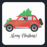 Dachshund Dog Driving Car - Christmas Tree on Top スクエアシール<br><div class="desc">このシルエットはまた表すことができる：アルトワ、ウィナー犬、ウィーナー犬、ソーセージ犬、ホットドッグ、テッケル、トゥィニー、ダッシュント、ドキシー、ハウンド、標準ダッシュント、ミニダッシュント、ミニドッシュント、長いボディ、狩り、バッジャー犬、ドイツ、リバティハウンド、滑らかなダッシュント、滑らかなラフヘアのダッシュント、髪のダシュント、ロングヘアミニダシュント、ロングヘアダシュント、ブラックとタン、リンゴ、おもちゃ、テクケル、シルキー、ミックス、ワイヤー髪</div>