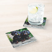 Dachshund Dog Summer Garden Birthday Poster ガラスコースター (アングル)