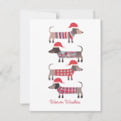 Dachshund Dogs in Christmas Hatsホリデー ノートカード (正面)