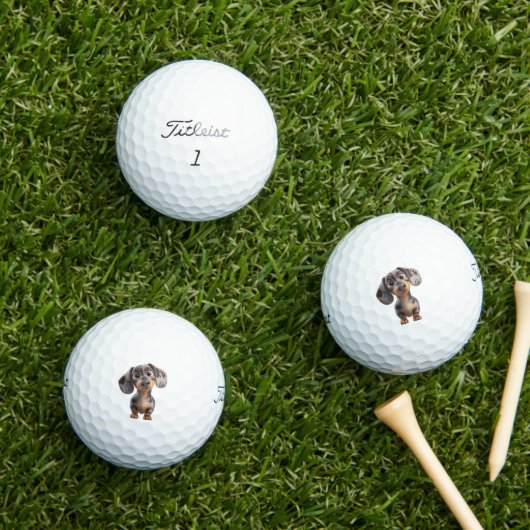 Dachshund Golf Balls ゴルフボール (インサイチュ 芝生)