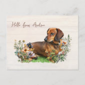 Dachshund in Wildflowers Hello From Postcard ポストカード (正面)