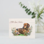 Dachshund in Wildflowers Hello From Postcard ポストカード (スタンド正面)