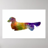 Dachshund Long Haired in watercolor-2 ポスター (正面)