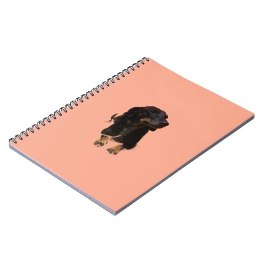 Dachshund Puppy ノートブック (左側)