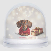 Dachshund Puppy Personalized Snow Globe (正面)
