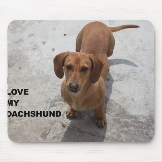 dachshund red full love w pic マウスパッド (正面)