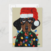 Dachshund Santa Tangled In Christmas Lights シーズンポストカード (正面/裏面)