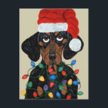Dachshund Santa Tangled In Christmas Lights シーズンポストカード<br><div class="desc">This Dachshund Santa Is Trying To Decorate For Christmas! There's Just One Problem! The Christmas Lights Have Attacked Him! The Harder He Works,  The More Tangled He Gets! Squirreldumplings Humor!</div>
