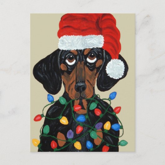Dachshund Santa Tangled In Christmas Lights シーズンポストカード (正面)