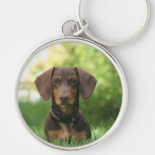 Dachshund Sitting in Grass キーホルダー