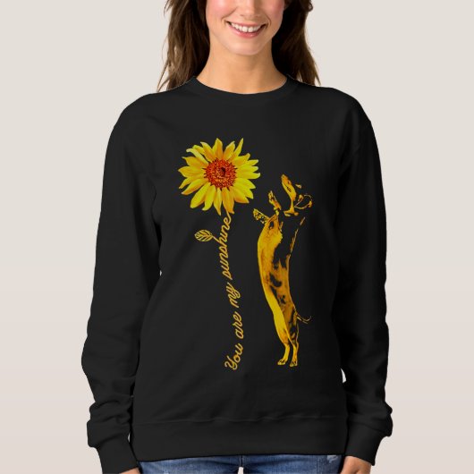 Dachshund Sunshine Funny For Man Woman スウェットシャツ (正面)