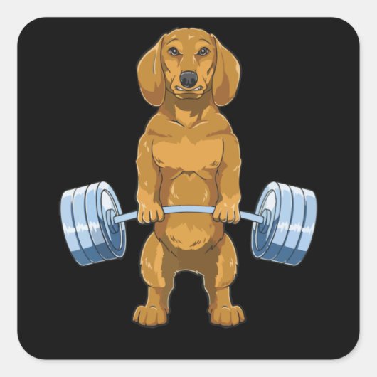 Dachshund Weightlifting Deadlift Fitness Gym スクエアシール (正面)