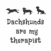 Dachshunds are my Therapist Cute Dachshund シール (正面)