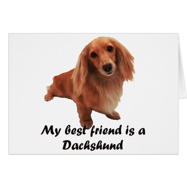 "Dackel " (正面横)