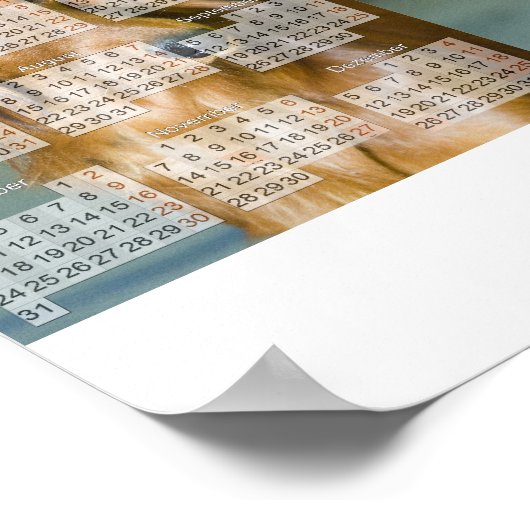 Dackel Kalender 2011 ポスター (角)