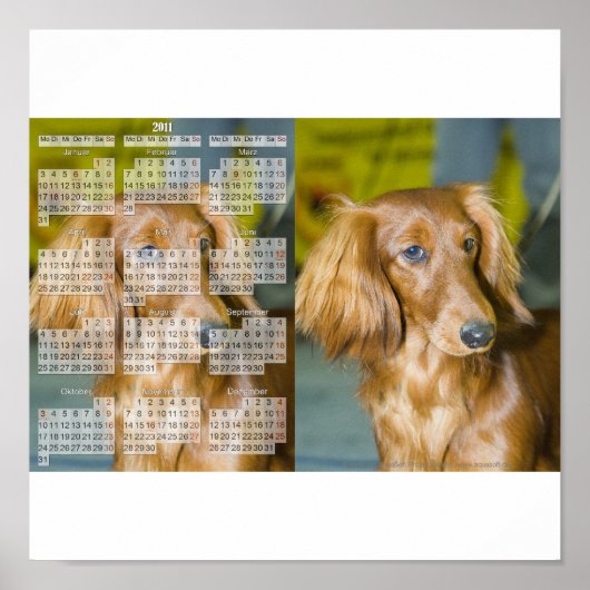 Dackel Kalender 2011 ポスター (正面)