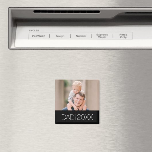 Dad Established Modern Script Magnet  マグネット (インサイチュ (食洗機))