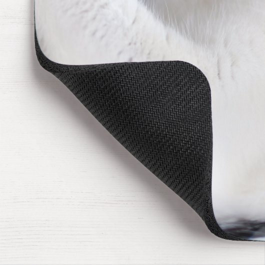 Daddy cat since Photo cute cat マウスパッド (コーナー)