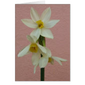 Daffodilカード (正面)