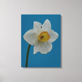 Daffodilキャンバス印刷 キャンバスプリント (正面)