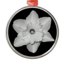 Daffodilクローズアップ(B&W)オーナメント