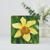 Daffodilグリーティングカード カード (スタンド正面)