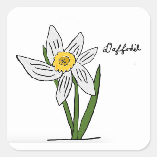 Daffodilステッカースクエア スクエアシール