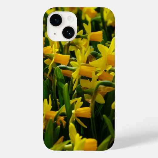 DaffodilファミリーiPhoneケース Case-Mate iPhoneケース (裏面)