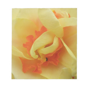 Daffodilファンシー Daffodilメモ帳 ノートパッド