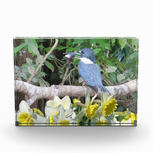 Daffodilフォトブロック フォトブロック (正面)