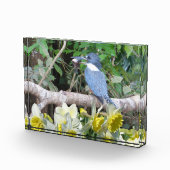 Daffodilフォトブロック フォトブロック (右)