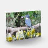 Daffodilフォトブロック フォトブロック (左)