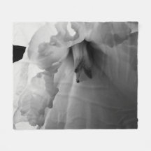 Daffodilモノクロ写真