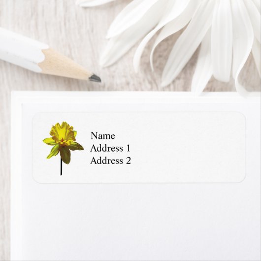 Daffodilルックアップ ラベル (インサイチュ)