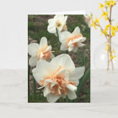 Daffodil春グリーティングカード カード (黄色い花)