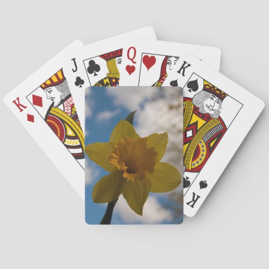 Daffodil春 トランプ (裏面)