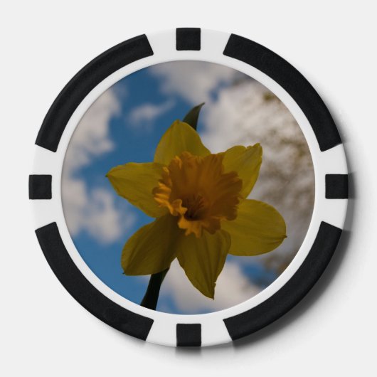 Daffodil春 ポーカーチップ (正面)