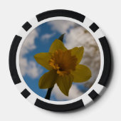 Daffodil春 ポーカーチップ (裏面)