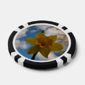 Daffodil春 ポーカーチップ (シングル)