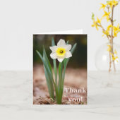 Daffodil 「ありがとう！」 カード（ライト） カード (黄色い花)