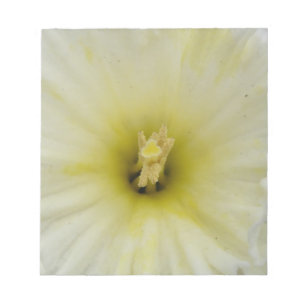 Daffodil かわいらし Daffodil淡い色のメモ帳 ノートパッド